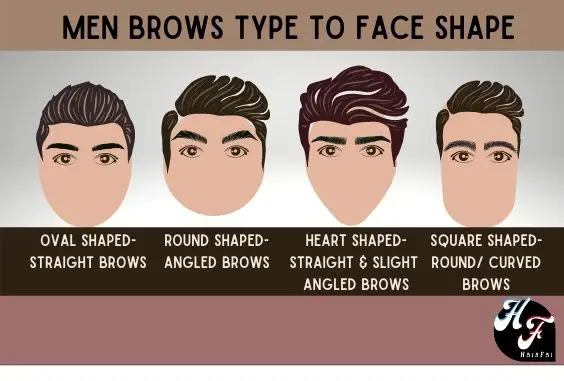 Men Brow Type To Face Shapes