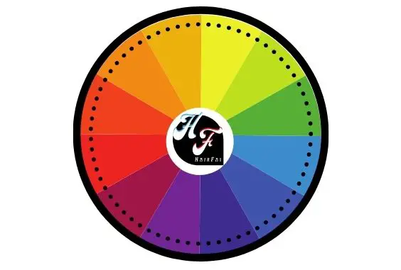 Microblading Correction Color Wheel