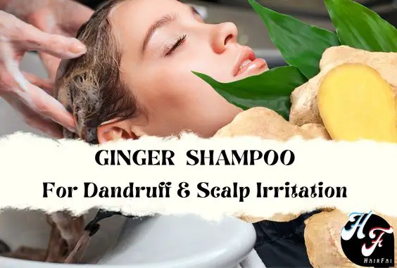 Best Ginger Shampoos- Benefits, Hair Loss & Dandruff