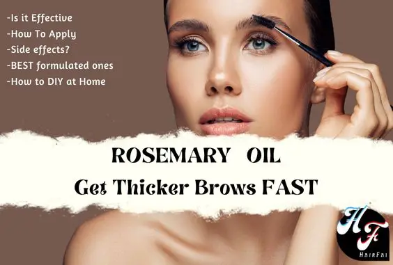 Rosemary Oil For Eyebrow Growth- Side Effects & How to Use