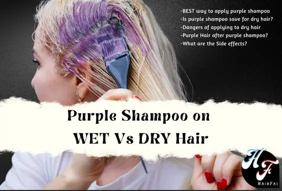 Purple Shampoo On Dry Vs Wet Hair- Which Is More Effective - Hair Fai