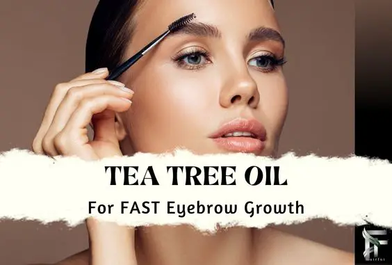 Tea Tree Oil Eyebrow Growth - Benefits & How To Use